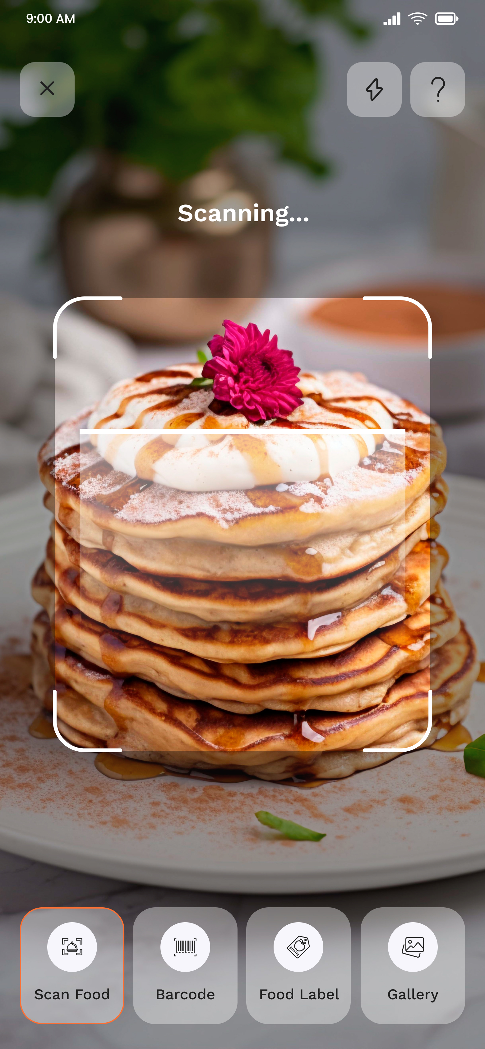 Calories AI 3