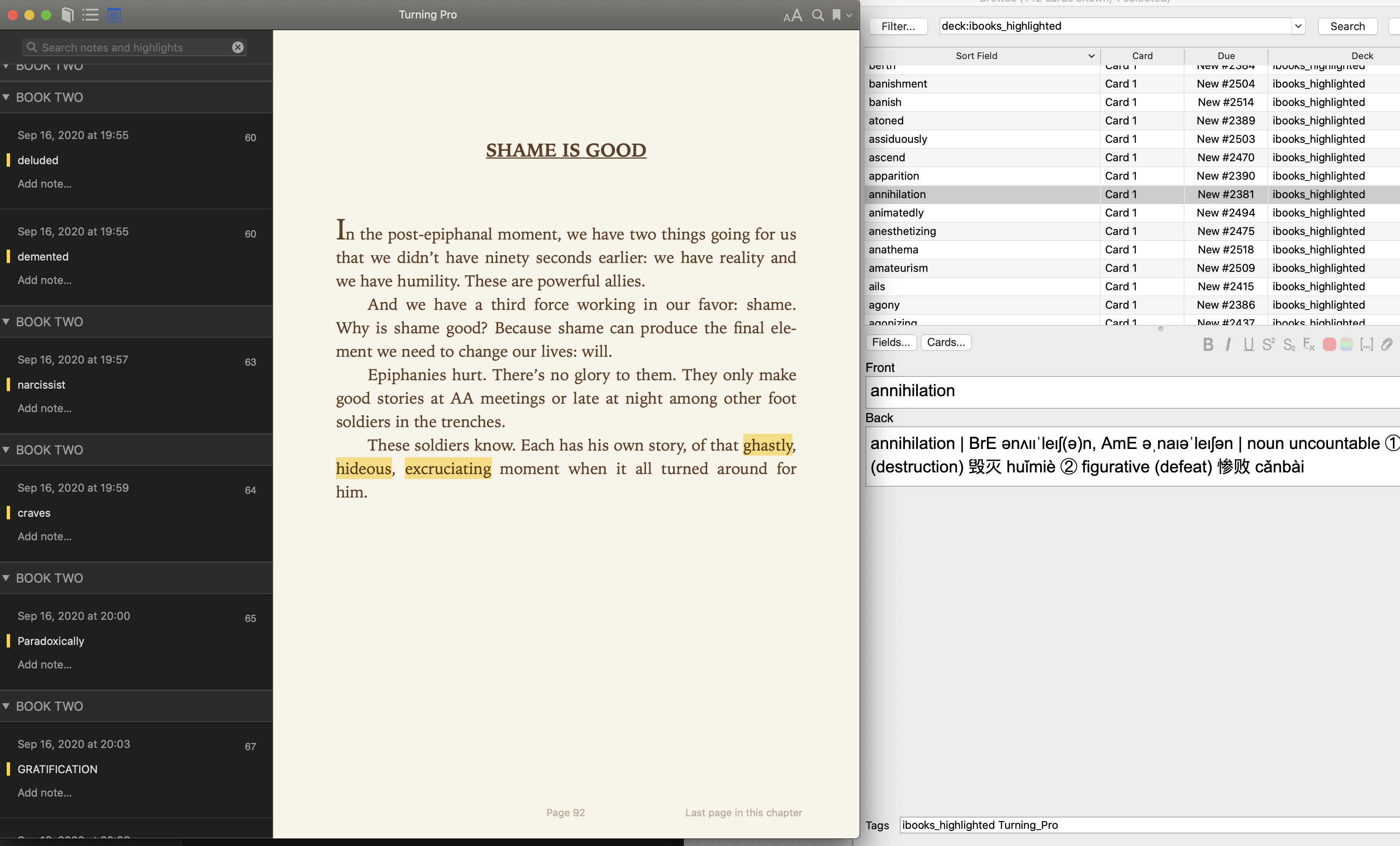 iBooks Anki 1